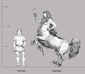 Monster illustration. Centaurus and human anatomy comparison. Fantasy ink drawing.