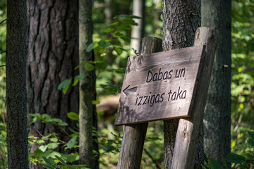 tourist direction signs in forest