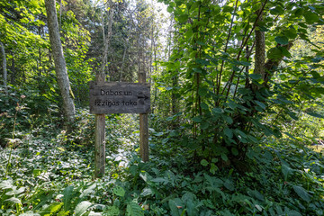 tourist direction signs in forest