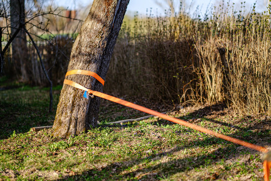 strope for wire walking stretched between trees