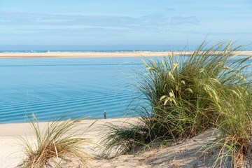 Fototapeta na wymiar BASSIN D'ARCACHON (France), banc d'Arguin et plage du Petit Nice vus de la dune du Pilat