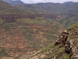 Terraced fields on the slopes of Ethiopia