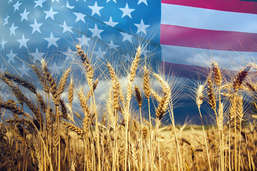 Double exposure with the american flag and  wheat.