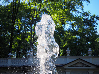 Clean water jet from a fountain on a background of green trees