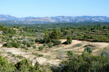Olive and almond gardens in the vicinity of the village of Cretas against the backdrop of the mountain range Puerto de beceite Teruel province, Aragon, Spain
