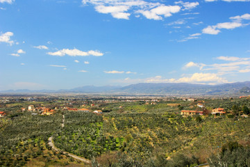 Fototapeta na wymiar Green fields in Tuscany, Italy