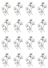 graphic line art monochrome flowers pattern