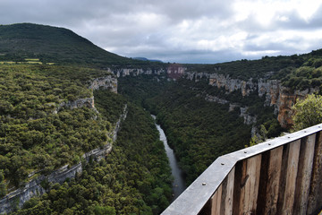 Fototapeta na wymiar Río pasando a través de montañas y un bosque.