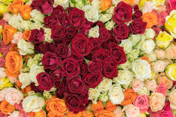 Bright multicolored bouquet of roses. Multicolored fresh roses background. Plenty of colorful bright roses close up