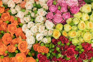 Bright multicolored bouquet of roses. Multicolored fresh roses background. Plenty of colorful bright roses close up