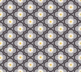 pattern. seamless. White daisies. daisy, flower