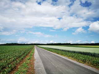 road in the field