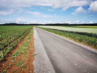 road in the field
