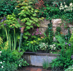 Detail of a garden wall with a decorative water supply surrounded by flowers and plants