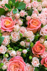Fototapeta na wymiar Beautiful fresh red and pink roses. beautiful bouquet of roses. vertical photo