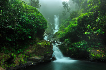 beautiful waterfalls in dense forest captured with long exposure shot