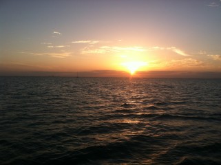Ocean
