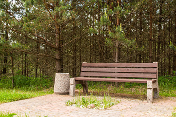 Wooden park bench at a park. A place to rest.