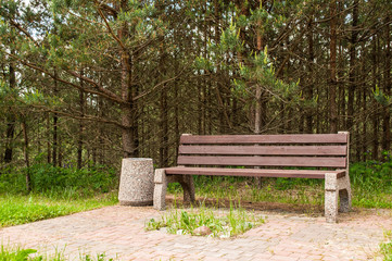 Wooden park bench at a park. A place to rest.