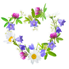 Heart shaped wild flower wreath on a white background, daisies, red clovers and bluebells -