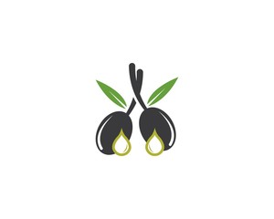 Olive oil icon vector illustation design template