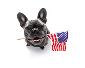 Stickers pour porte Chien fou jour de l& 39 indépendance chien du 4 juillet