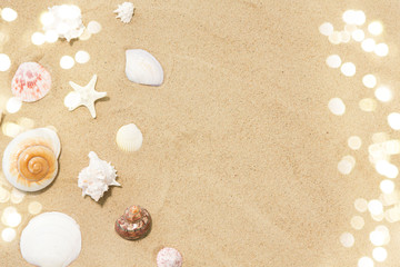 vacation and summer holidays concept - seashells on beach sand