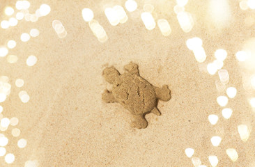 toys, childhood and vacation concept - sand shape made by turtle mold on summer beach