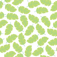 Fototapeta na wymiar Vector pastel White background seamless pattern with tropical colorful monstera leaves. Exotic floral wallpaper. Jungle plants - Vector. seamless pattern background