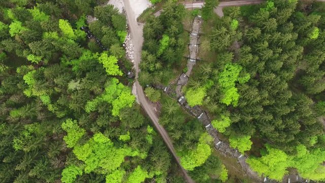 Forstweg im Wald am Fluss mit Drohne