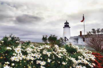 Lighthouse on the ocean and blooming daisies. USA. Maine. Coast of the Atlantic Ocean.