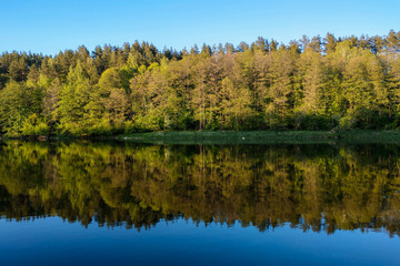 Fototapeta na wymiar Beautiful river with a forest, the reflection of trees in the water, smooth calm surface of the water without waves.