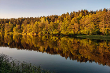Beautiful river with a forest, the reflection of trees in the water, smooth calm surface of the water without waves.