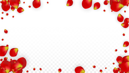 Vector Realistic Red Rose Petals Falling on Transparent Background.  Romantic Flowers Illustration. Flying Petals. Sakura Spa Design. Blossom Confetti. Design Elements for Wedding Decoration.