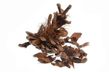 cone isolated on white background