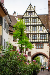 Fototapeta na wymiar Half-timbered house in Freiburg, Germany