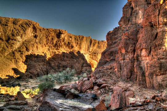 Panorama inside canyon aka Guelta d'Archei in East Ennedi, Chad