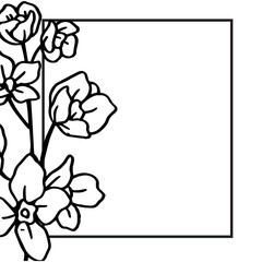 Vector illustration beautiful flower frame isolated with backdrop on a white