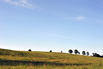 Niebo nad łąką