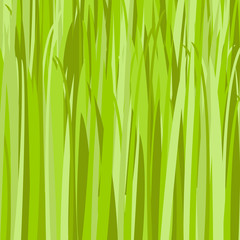 Green grass pattern. Grass in meadow. Vector greenery background