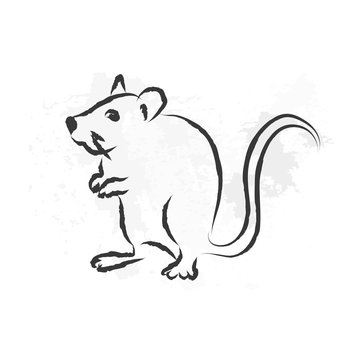 Ink brush painting mouse, rat illustration with gray watercolor background.Chinese Zodiac Sign. 2020 new year