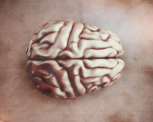 anatomical human brain, mesh vector, scientific article design and medical booklet