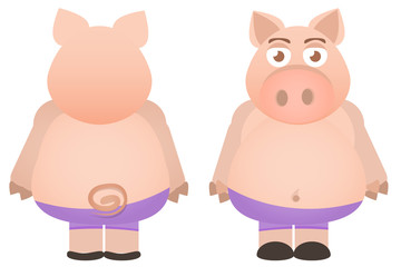 Vector cartoon character in a flat style. adult pig