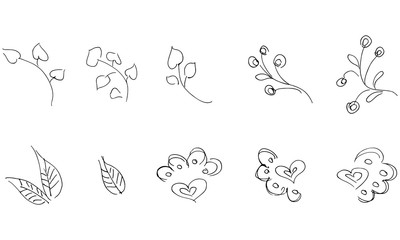 Flowers and branches hand drawn collection isolated on white background. Floral graphic elements. Big  set. Doodle collection - 273155025