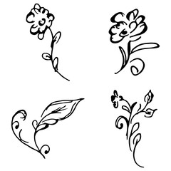 Flowers and branches hand drawn doodle collection isolated on white background. 4 floral graphic elements. Big  set. Outline collection