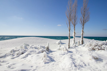 Sunny Winter Landscape On The Coast Of Lake Michigan