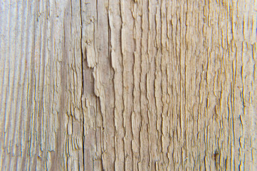 Wooden vintage plank background close up