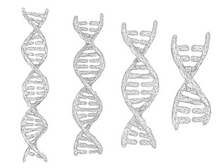 vector. part of the human dna. 3d triangular abstract style.