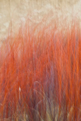 Bardenas Reales, Navarra, Spain, Europe