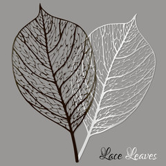 Skeletal leaves. Background with two white and black skeletons of leaves. Vector illustration.